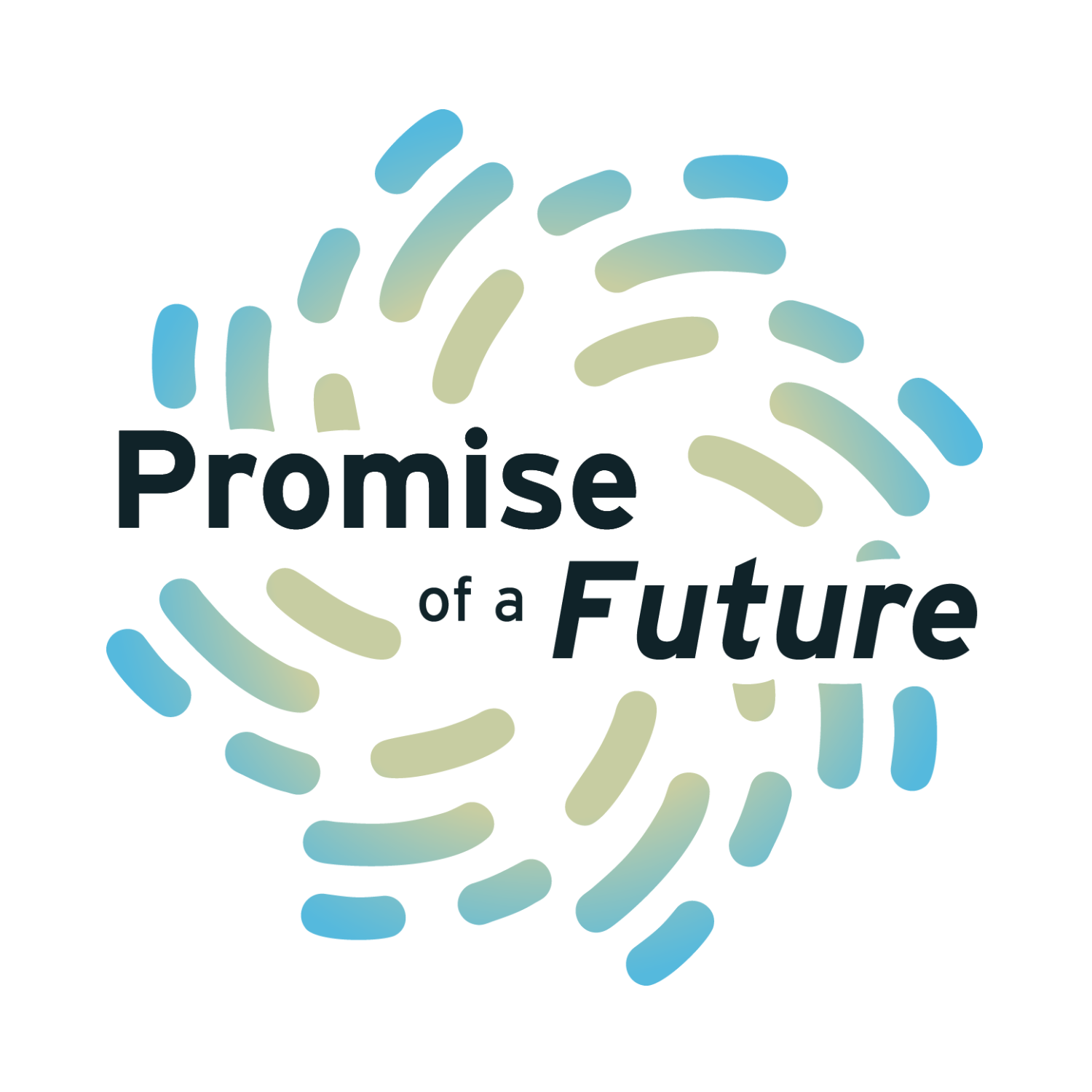 Promise of a Future - logo